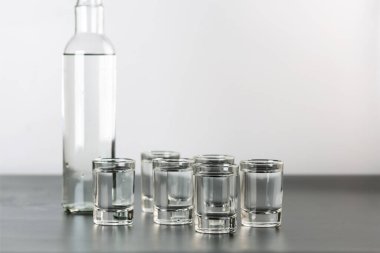 Şişedeki votka ve fotokopi alanı olan shot.