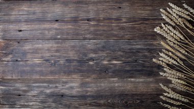 Eski tahta tahtalarda buğday dikenleri. Ahşap arkaplan