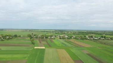 Countryside aerial view with farms, fields and pastures in summer