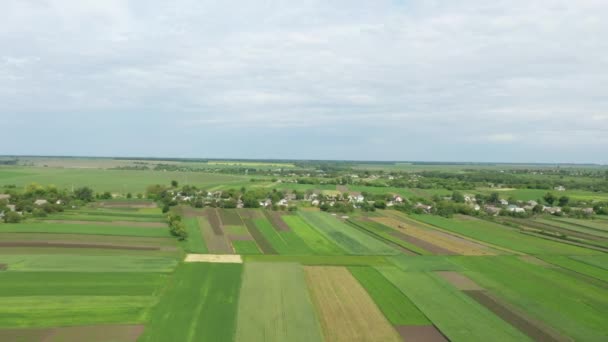 Countryside Aerial View Farms Fields Pastures Summer — Stok video