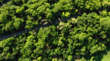 Koşu bandı ve bisiklet yolunun şehir parkındaki işaretli havadan görüntüsü.