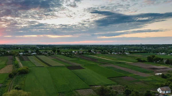 Vidéki Légi Felvétel Mezőgazdasági Állattenyésztő Gazdaságokkal — Stock Fotó