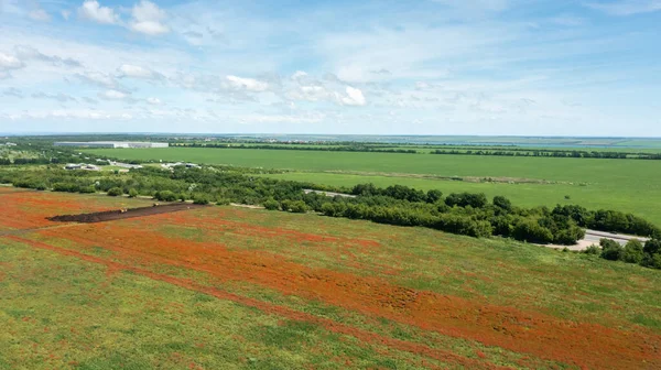 Letecký Pohled Zemědělské Zelené Pole Makovými Pruhy Pohled Shora — Stock fotografie