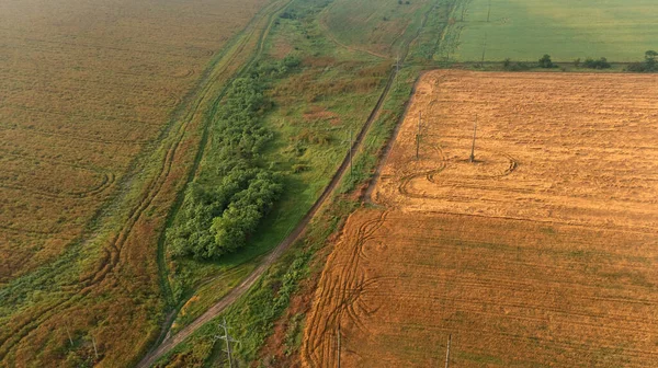 Аерофотозйомка Полів Посівами Пшениці Інших Культур — стокове фото