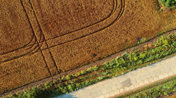 Повітря Крупним Планом Пшеничне Поле Концепція Збирання — стокове фото