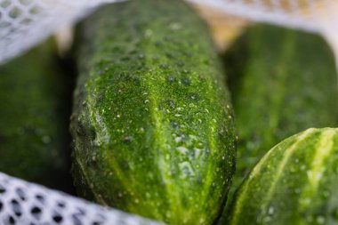 Çevresel yeniden kullanılabilir ağ torbasında taze salatalıklar, yakın plan.