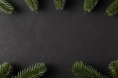 Fotokopi alanı olan siyah arkaplan üzerindeki köknar dallarından oluşan çerçeve