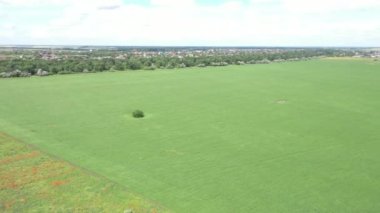 Otoyol yakınlarındaki tarlalara ve tarım işletmelerine kuş bakışı bir bakış.