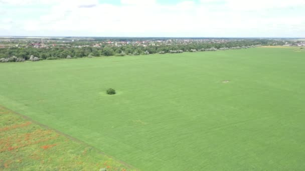 Bird Eye View Fields Agricultural Enterprise Motorway — Stock Video