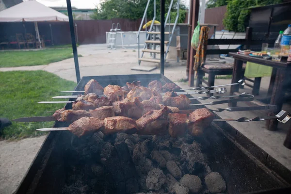 夏天的一天 在一家私人住宅的后院 与烤面包和肉一起在篝火中野餐 — 图库照片