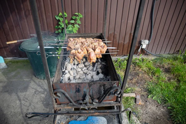 Барбекю Пикник Шашлыками Мясом Открытом Огне Летний День Заднем Дворе — стоковое фото