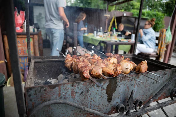 Picnic Barbacoa Con Kebabs Carne Una Chimenea Abierta Día Verano — Foto de Stock