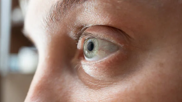 Close up of human eyes and iris of the eyeball, macro shot