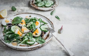 Salatalık taze salatalık, otlar, haşlanmış yumurta ve limon sosu seramik tabakta mevsimsel sağlıklı yeme konsepti, kopyalama alanı