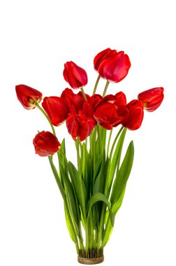 güzel kırmızı lale buketi