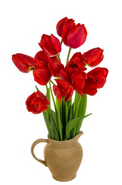 güzel kırmızı lale buketi