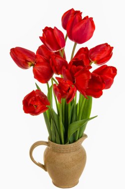güzel kırmızı lale buketi