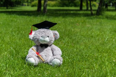 Oyuncak ayı üniversite mezun.