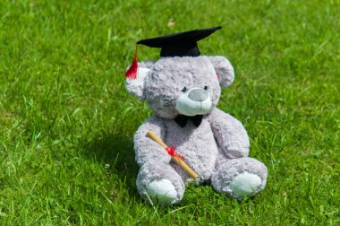 Oyuncak ayı üniversite mezun.