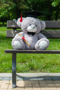 Oyuncak ayı üniversite mezun.