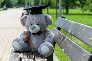 Oyuncak ayı üniversite mezun.