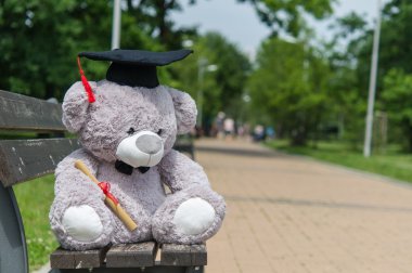 Oyuncak ayı üniversite mezun.