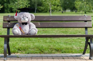 Oyuncak ayı üniversite mezun.