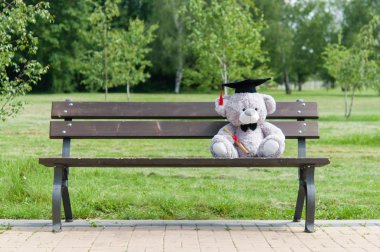 Oyuncak ayı üniversite mezun.