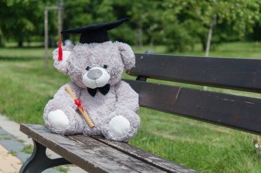 Oyuncak ayı üniversite mezun.