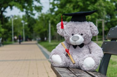 Oyuncak ayı üniversite mezun.