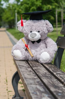 Oyuncak ayı üniversite mezun.