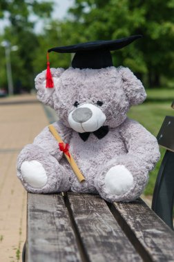 Oyuncak ayı üniversite mezun.