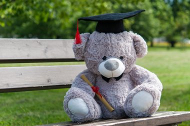 Oyuncak ayı üniversite mezun.