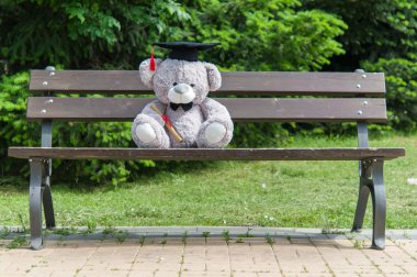 Oyuncak ayı üniversite mezun.