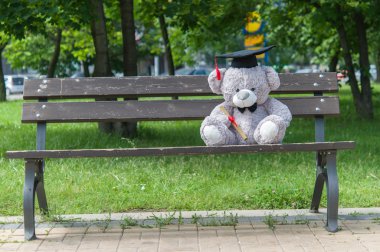 Oyuncak ayı üniversite mezun.