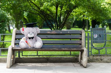 Oyuncak ayı üniversite mezun.