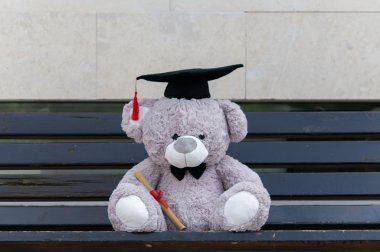 Oyuncak ayı üniversite mezun.