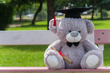 Oyuncak ayı üniversite mezun.