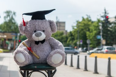 Oyuncak ayı üniversite mezun.