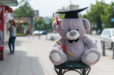 Oyuncak ayı üniversite mezun.