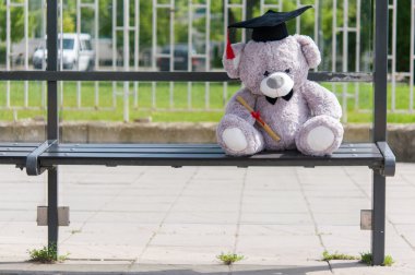Oyuncak ayı üniversite mezun.