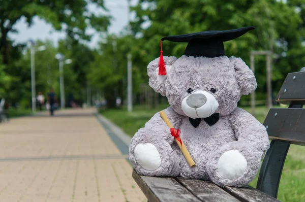 Oyuncak ayı üniversite mezun.