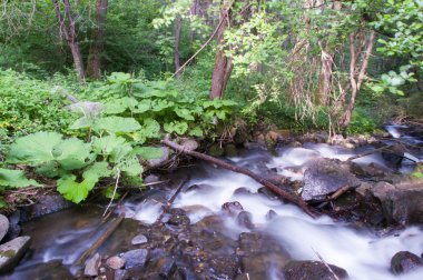dağ nehir taşları ile