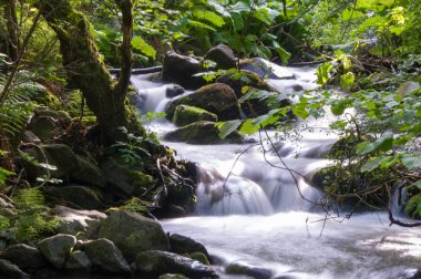 dağ nehir taşları ile