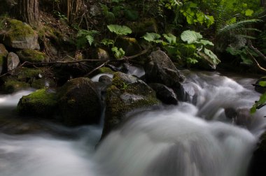 dağ nehir taşları ile