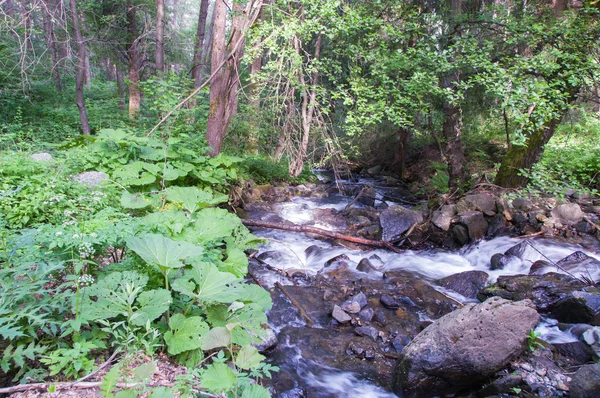 Gebirgsfluss mit Steinen — Stockfoto