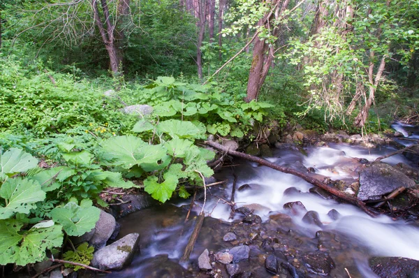 Gebirgsfluss mit Steinen — Stockfoto