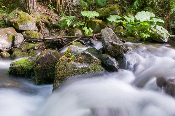 Río de montaña con piedras — Foto de Stock