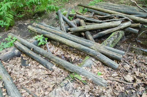 Ormandaki yaşlı çürük Köprüsü