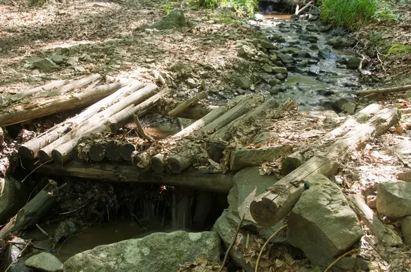 森の中の古い腐った橋 — ストック写真